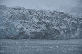 Filename=DSC_4715.JPG
Filesize=19487KiB
Dimensions=7360x4912
Date added=Oct 17, 2021 DSC_4715.JPG