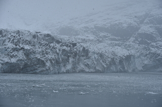 Filename=DSC_4721.JPG
Filesize=19835KiB
Dimensions=7360x4912
Date added=Oct 17, 2021 DSC_4721.JPG