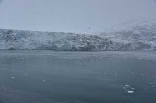 Filename=DSC_4724.JPG
Filesize=18056KiB
Dimensions=7360x4912
Date added=Oct 17, 2021 DSC_4724.JPG