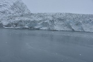 Filename=DSC_4726.JPG
Filesize=18381KiB
Dimensions=7360x4912
Date added=Oct 17, 2021 DSC_4726.JPG