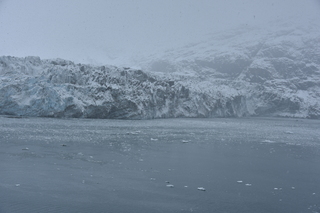 Filename=DSC_4727.JPG
Filesize=18442KiB
Dimensions=7360x4912
Date added=Oct 17, 2021 DSC_4727.JPG