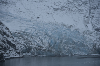 Filename=DSC_4739.JPG
Filesize=19225KiB
Dimensions=7360x4912
Date added=Oct 17, 2021 DSC_4739.JPG