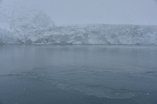 Filename=DSC_4753.JPG
Filesize=17262KiB
Dimensions=7360x4912
Date added=Oct 17, 2021 DSC_4753.JPG