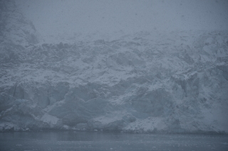 Filename=DSC_4757.JPG
Filesize=16705KiB
Dimensions=7360x4912
Date added=Oct 17, 2021 DSC_4757.JPG