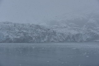 Filename=DSC_4760.JPG
Filesize=17890KiB
Dimensions=7360x4912
Date added=Oct 17, 2021 DSC_4760.JPG