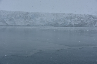 Filename=DSC_4761.JPG
Filesize=17378KiB
Dimensions=7360x4912
Date added=Oct 17, 2021 DSC_4761.JPG