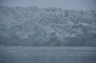 Filename=DSC_4768.JPG
Filesize=17661KiB
Dimensions=7360x4912
Date added=Oct 17, 2021 DSC_4768.JPG