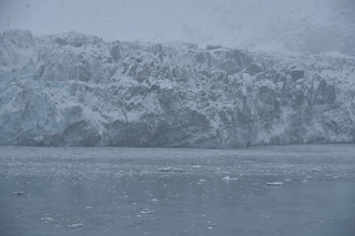 Filename=DSC_4770.JPG
Filesize=18088KiB
Dimensions=7360x4912
Date added=Oct 17, 2021 DSC_4770.JPG