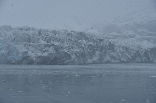 Filename=DSC_4771.JPG
Filesize=18690KiB
Dimensions=7360x4912
Date added=Oct 17, 2021 DSC_4771.JPG