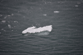 Filename=DSC_4772.JPG
Filesize=16079KiB
Dimensions=7360x4912
Date added=Oct 17, 2021 DSC_4772.JPG