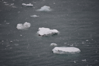 Filename=DSC_4773.JPG
Filesize=16252KiB
Dimensions=7360x4912
Date added=Oct 17, 2021 DSC_4773.JPG