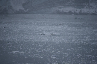 Filename=DSC_4775.JPG
Filesize=16947KiB
Dimensions=7360x4912
Date added=Oct 17, 2021 DSC_4775.JPG