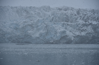 Filename=DSC_4777.JPG
Filesize=17743KiB
Dimensions=7360x4912
Date added=Oct 17, 2021 DSC_4777.JPG