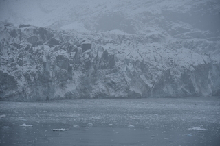 Filename=DSC_4778.JPG
Filesize=17982KiB
Dimensions=7360x4912
Date added=Oct 17, 2021 DSC_4778.JPG