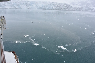 Filename=DSC_4782.JPG
Filesize=19533KiB
Dimensions=7360x4912
Date added=Oct 17, 2021 DSC_4782.JPG