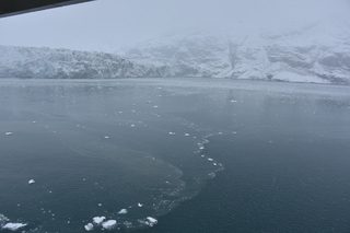 Filename=DSC_4783.JPG
Filesize=18093KiB
Dimensions=7360x4912
Date added=Oct 17, 2021 DSC_4783.JPG