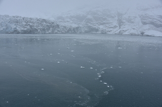 Filename=DSC_4784.JPG
Filesize=18062KiB
Dimensions=7360x4912
Date added=Oct 17, 2021 DSC_4784.JPG