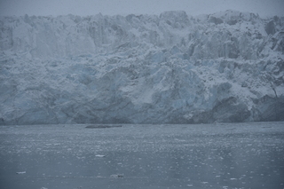 Filename=DSC_4785.JPG
Filesize=17700KiB
Dimensions=7360x4912
Date added=Oct 17, 2021 DSC_4785.JPG