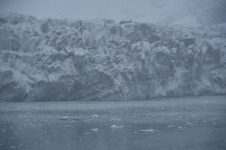 Filename=DSC_4786.JPG
Filesize=18005KiB
Dimensions=7360x4912
Date added=Oct 17, 2021 DSC_4786.JPG