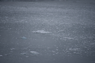 Filename=DSC_4789.JPG
Filesize=16713KiB
Dimensions=7360x4912
Date added=Oct 17, 2021 DSC_4789.JPG