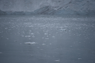 Filename=DSC_4792.JPG
Filesize=15976KiB
Dimensions=7360x4912
Date added=Oct 17, 2021 DSC_4792.JPG