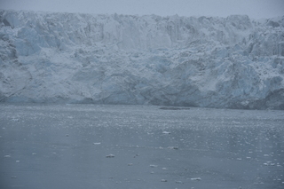 Filename=DSC_4794.JPG
Filesize=17784KiB
Dimensions=7360x4912
Date added=Oct 17, 2021 DSC_4794.JPG