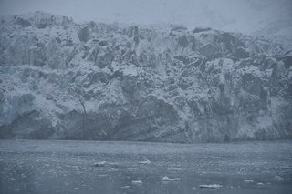 Filename=DSC_4796.JPG
Filesize=17861KiB
Dimensions=7360x4912
Date added=Oct 17, 2021 DSC_4796.JPG