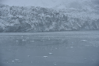 Filename=DSC_4798.JPG
Filesize=18688KiB
Dimensions=7360x4912
Date added=Oct 17, 2021 DSC_4798.JPG