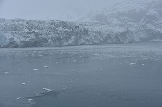 Filename=DSC_4799.JPG
Filesize=17956KiB
Dimensions=7360x4912
Date added=Oct 17, 2021 DSC_4799.JPG