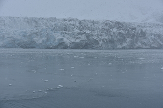 Filename=DSC_4804.JPG
Filesize=17871KiB
Dimensions=7360x4912
Date added=Oct 17, 2021 DSC_4804.JPG