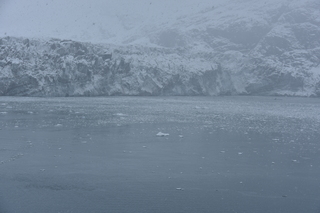 Filename=DSC_4805.JPG
Filesize=17712KiB
Dimensions=7360x4912
Date added=Oct 17, 2021 DSC_4805.JPG