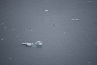 Filename=DSC_4806.JPG
Filesize=15446KiB
Dimensions=7360x4912
Date added=Oct 17, 2021 DSC_4806.JPG