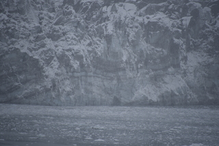 Filename=DSC_4808.JPG
Filesize=16646KiB
Dimensions=7360x4912
Date added=Oct 17, 2021 DSC_4808.JPG