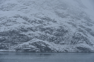 Filename=DSC_4818.JPG
Filesize=19954KiB
Dimensions=7360x4912
Date added=Oct 17, 2021 DSC_4818.JPG