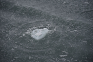 Filename=DSC_4831.JPG
Filesize=16305KiB
Dimensions=7360x4912
Date added=Oct 17, 2021 DSC_4831.JPG