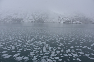 Filename=DSC_4832.JPG
Filesize=16473KiB
Dimensions=7360x4912
Date added=Oct 17, 2021 DSC_4832.JPG