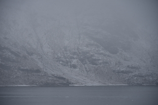 Filename=DSC_4834.JPG
Filesize=15816KiB
Dimensions=7360x4912
Date added=Oct 17, 2021 DSC_4834.JPG