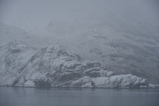 Filename=DSC_4835.JPG
Filesize=16585KiB
Dimensions=7360x4912
Date added=Oct 17, 2021 DSC_4835.JPG