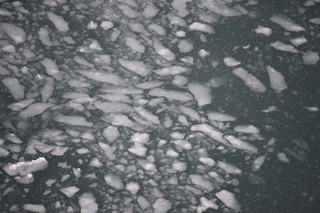 Filename=DSC_4836.JPG
Filesize=16220KiB
Dimensions=7360x4912
Date added=Oct 17, 2021 DSC_4836.JPG