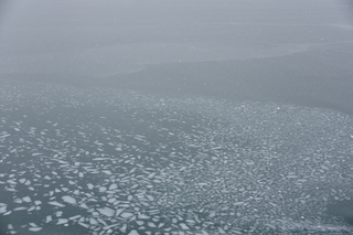 Filename=DSC_4843.JPG
Filesize=16587KiB
Dimensions=7360x4912
Date added=Oct 17, 2021 DSC_4843.JPG