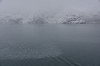 Filename=DSC_4844.JPG
Filesize=16491KiB
Dimensions=7360x4912
Date added=Oct 17, 2021 DSC_4844.JPG