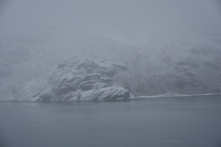 Filename=DSC_4847.JPG
Filesize=16294KiB
Dimensions=7360x4912
Date added=Oct 17, 2021 DSC_4847.JPG