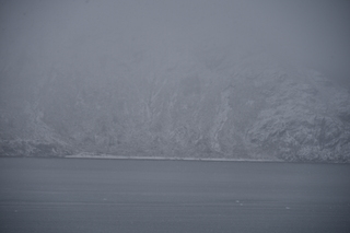 Filename=DSC_4848.JPG
Filesize=15440KiB
Dimensions=7360x4912
Date added=Oct 17, 2021 DSC_4848.JPG