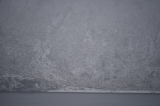 Filename=DSC_4853.JPG
Filesize=15454KiB
Dimensions=7360x4912
Date added=Oct 17, 2021 DSC_4853.JPG