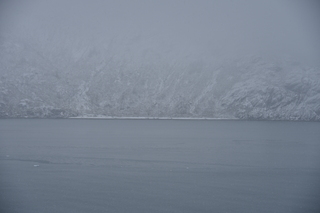 Filename=DSC_4860.JPG
Filesize=15436KiB
Dimensions=7360x4912
Date added=Oct 17, 2021 DSC_4860.JPG