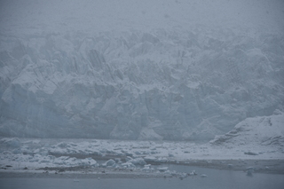 Filename=DSC_4868.JPG
Filesize=16626KiB
Dimensions=7360x4912
Date added=Oct 17, 2021 DSC_4868.JPG