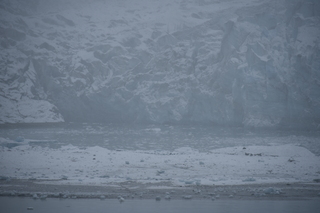 Filename=DSC_4869.JPG
Filesize=16126KiB
Dimensions=7360x4912
Date added=Oct 17, 2021 DSC_4869.JPG