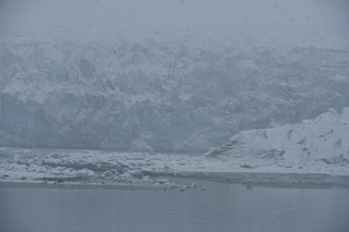 Filename=DSC_4870.JPG
Filesize=17236KiB
Dimensions=7360x4912
Date added=Oct 17, 2021 DSC_4870.JPG