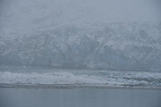 Filename=DSC_4871.JPG
Filesize=16738KiB
Dimensions=7360x4912
Date added=Oct 17, 2021 DSC_4871.JPG