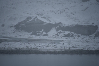 Filename=DSC_4876.JPG
Filesize=16165KiB
Dimensions=7360x4912
Date added=Oct 17, 2021 DSC_4876.JPG